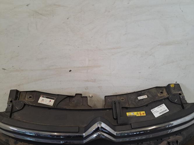 Image Calandre - CITROEN C3 3