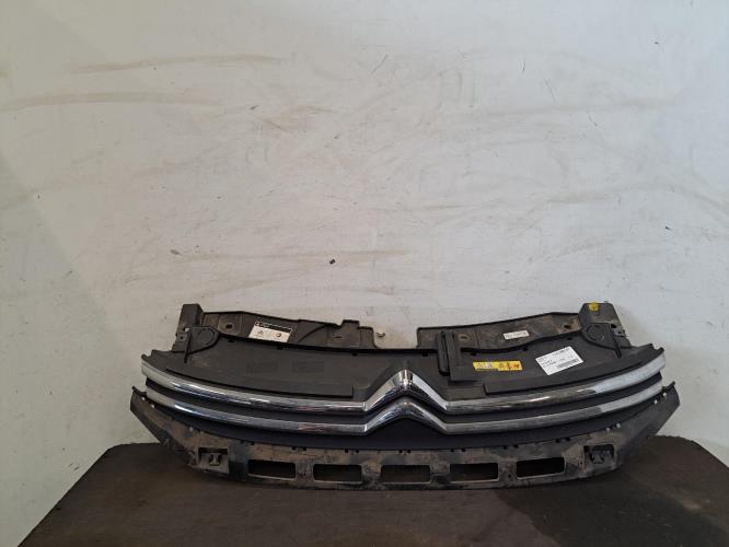 Image Calandre - CITROEN C3 3