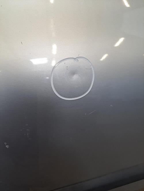 Image Porte arriere droit - RENAULT CLIO 2