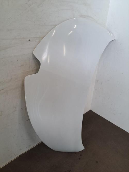 Image Capot - RENAULT ZOE 1