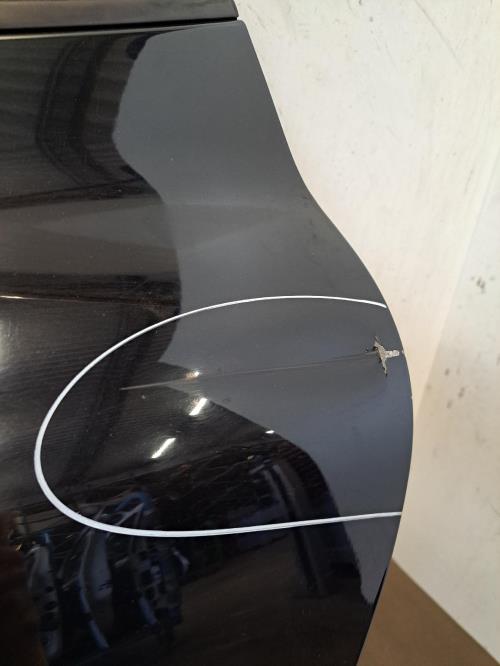 Image Porte arriere gauche - RENAULT CLIO 4