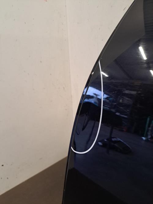 Image Porte arriere gauche - RENAULT CLIO 4