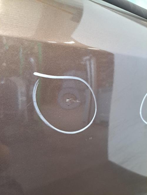 Image Porte avant gauche - RENAULT KANGOO 2