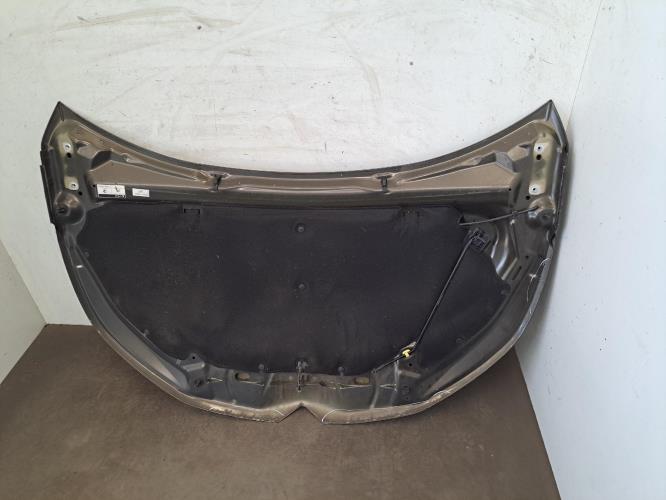 Image Capot - CITROEN DS4