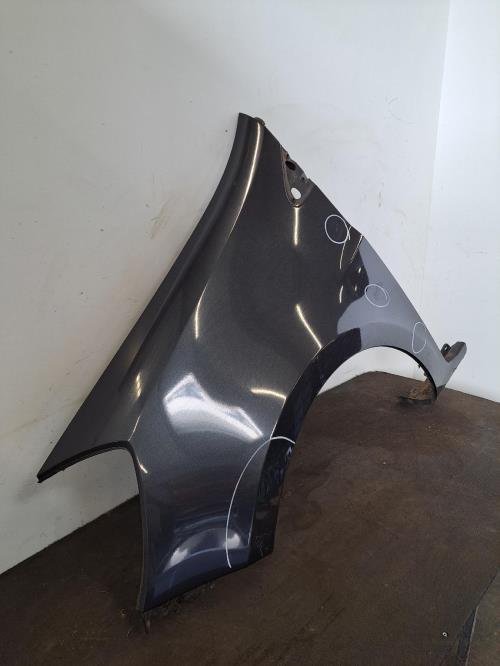 Image Aile avant gauche - RENAULT CLIO 3