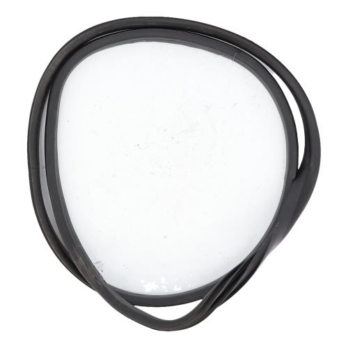 Image Joint de porte arriere gauche - RENAULT SCENIC 4