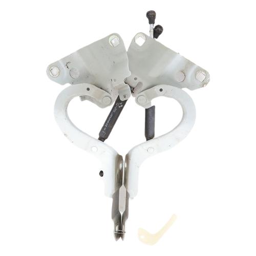 Image Charniere de capot - RENAULT ZOE 1