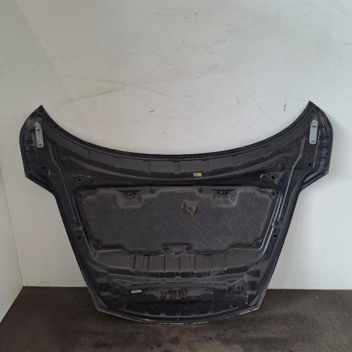 Image Capot - NISSAN JUKE 1