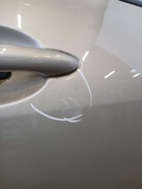 Image Porte arriere droit - RENAULT MEGANE 2