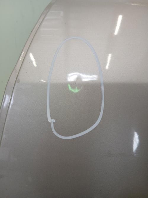 Image Porte arriere gauche - RENAULT MEGANE 2