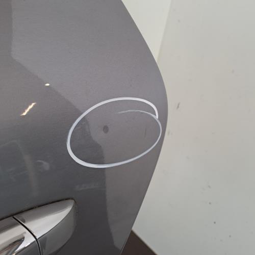 Image Porte arriere gauche - RENAULT GRAND SCENIC 4