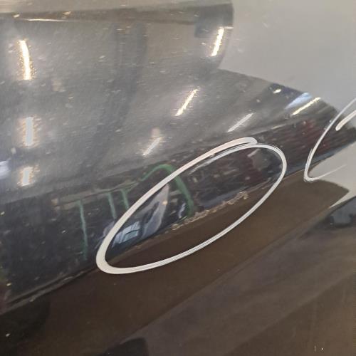 Image Porte avant gauche - FORD FIESTA 6