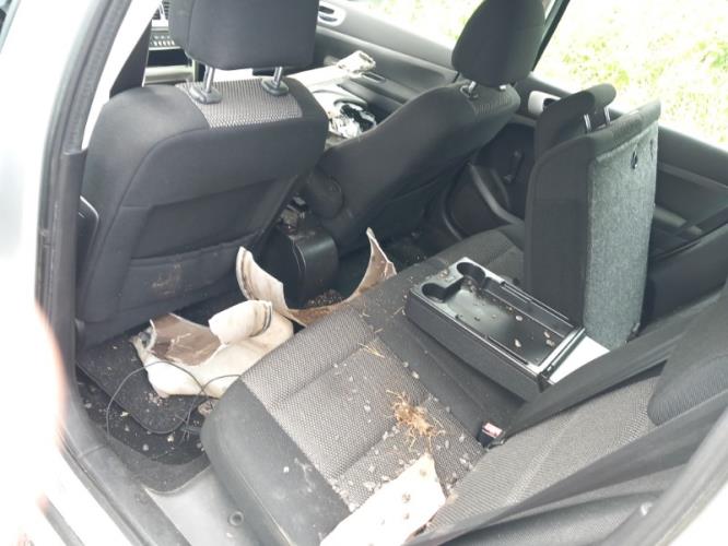 Image Porte arriere droit - PEUGEOT 307