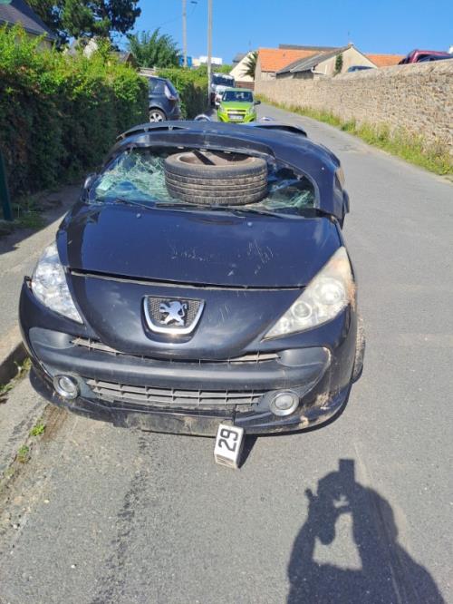 Image Porte avant droit - PEUGEOT 207