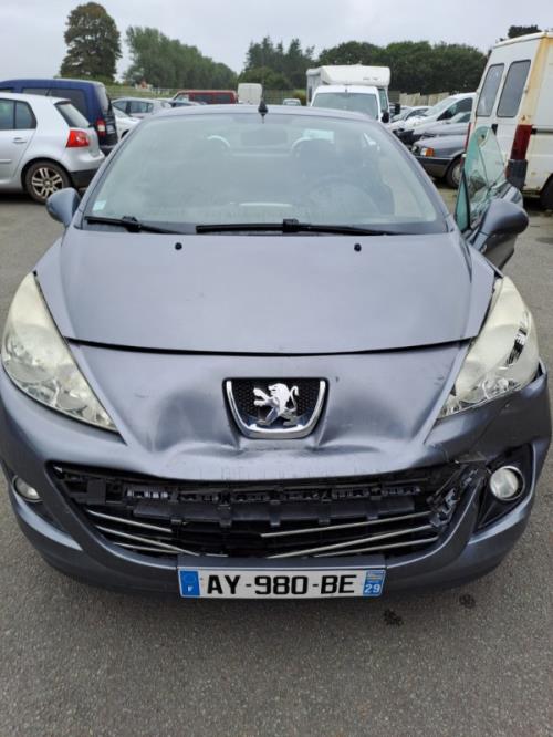 Image Malle/Hayon arriere - PEUGEOT 207