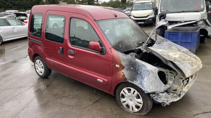 Image Porte de coffre gauche - RENAULT KANGOO 1