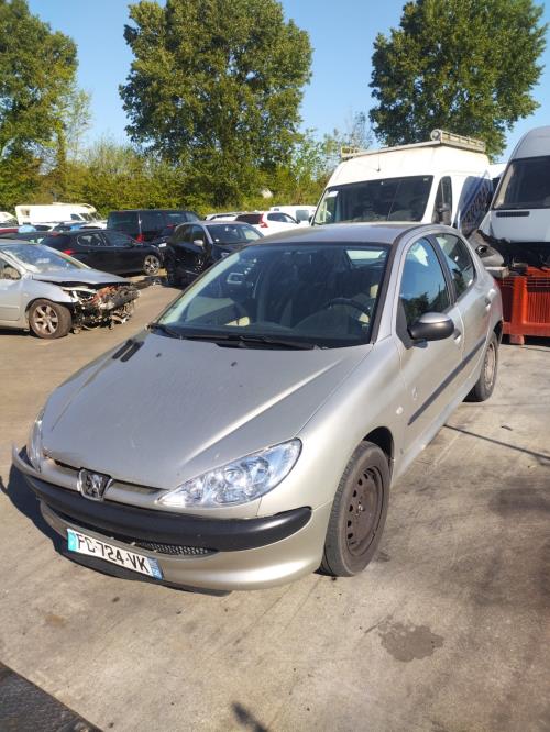Image Porte arriere gauche - PEUGEOT 206