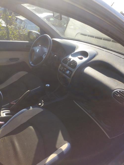Image Porte arriere gauche - PEUGEOT 206