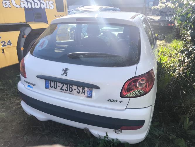 Image Feu arriere principal gauche (feux) - PEUGEOT 206+