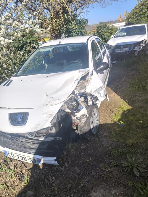 Image Feu arriere principal gauche (feux) - PEUGEOT 206+