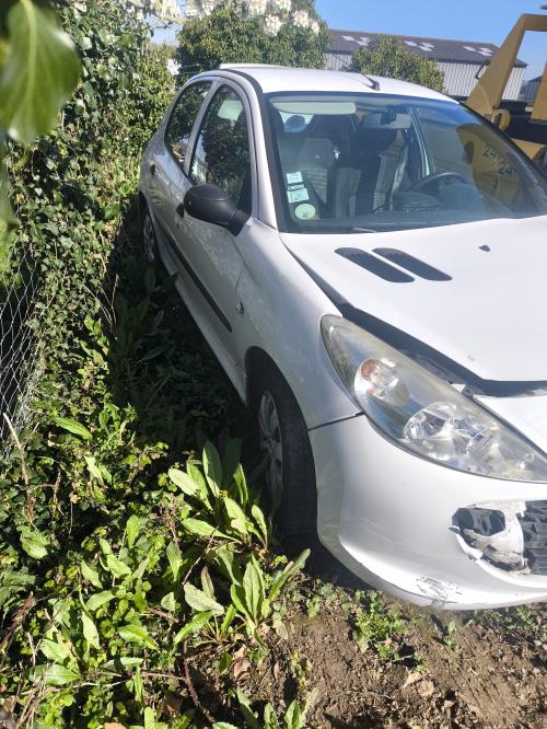 Image Feu arriere principal gauche (feux) - PEUGEOT 206+
