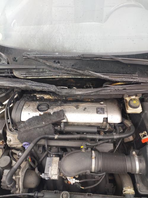 Image Porte avant droit - PEUGEOT 307
