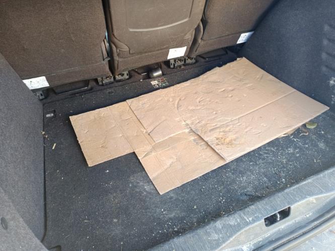 Image Plage arriere - RENAULT SCENIC 3