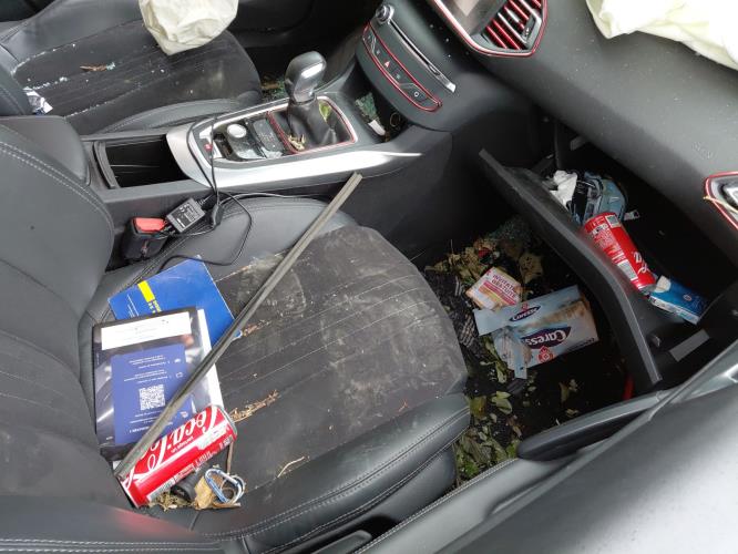 Image Feu arriere secondaire droit (feux) - PEUGEOT 308 2