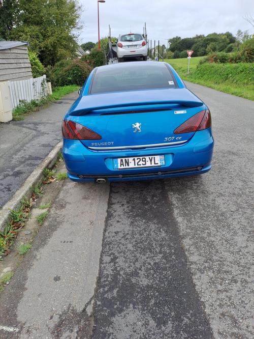 Image Feu arriere principal gauche (feux) - PEUGEOT 307