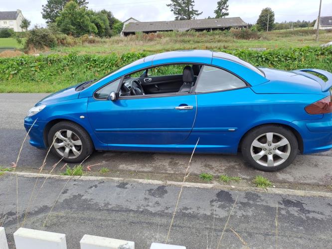 Image Feu arriere principal gauche (feux) - PEUGEOT 307
