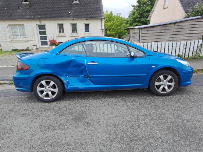 Image Feu arriere principal gauche (feux) - PEUGEOT 307