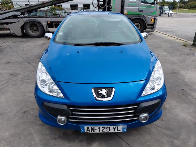 Image Feu arriere principal gauche (feux) - PEUGEOT 307