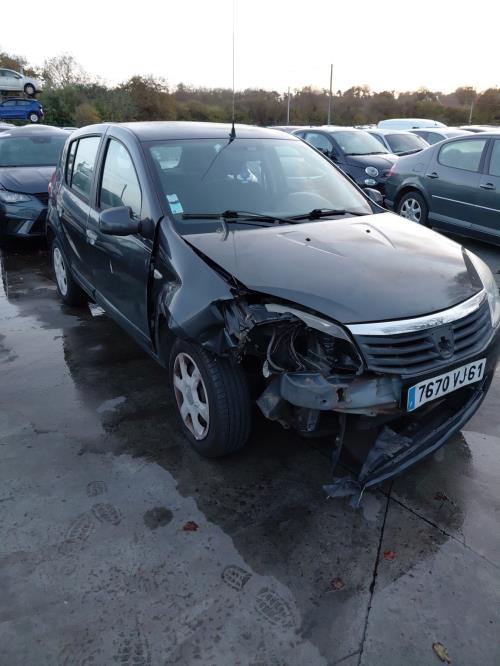 Image Porte arriere gauche - DACIA SANDERO 1