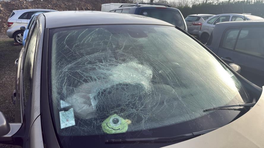 Image Serrure de capot - RENAULT CLIO 3