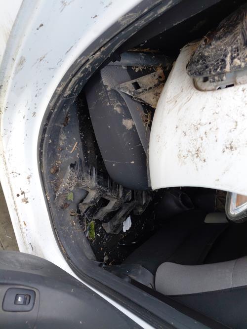 Image Feu de recul droit - CITROEN C3 PICASSO