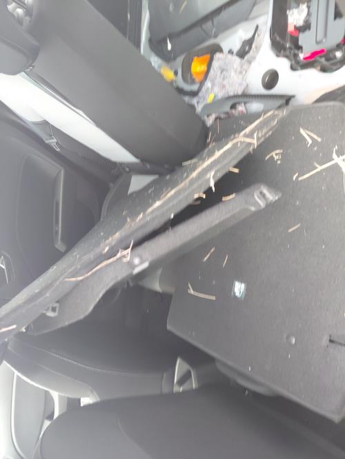Image Camera - RENAULT CLIO