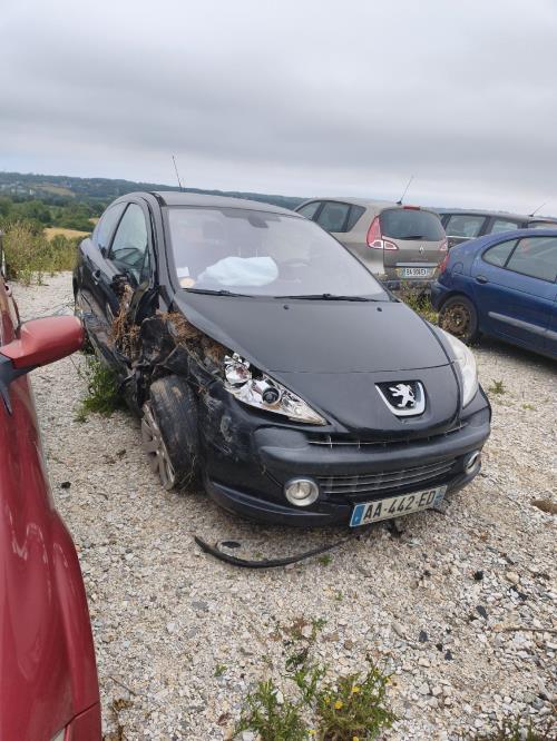 Image Anti brouillard gauche (feux) - PEUGEOT 207
