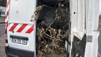 Foto de la pieza