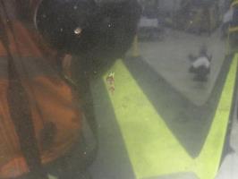 Foto del ricambio