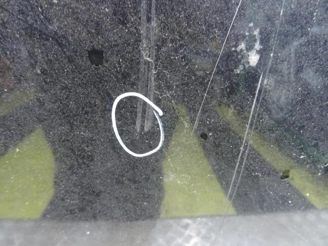 Foto del ricambio