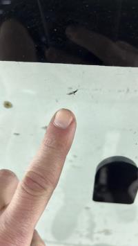 Foto del ricambio