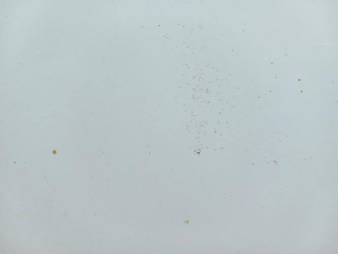 Foto de la pieza