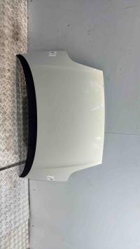 Capot fiat punto evo 3