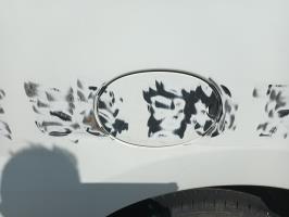 Foto ricambio auto