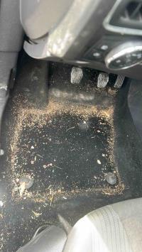 Foto ricambio auto