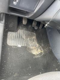 Foto ricambio auto