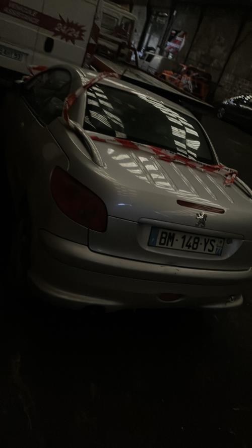 Foto del ricambio