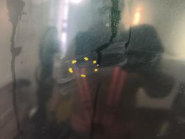 Foto del ricambio