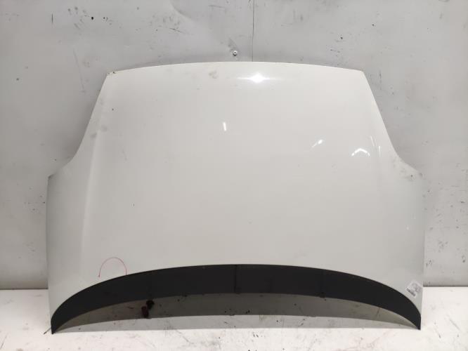 Capot - FIAT PUNTO EVO 3