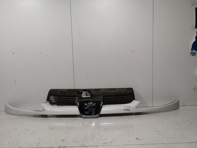 Calandre - PEUGEOT 206 PHASE 2